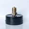 蛍光体青銅の実用的な圧力計80mmの圧力計25棒高圧ゲージ